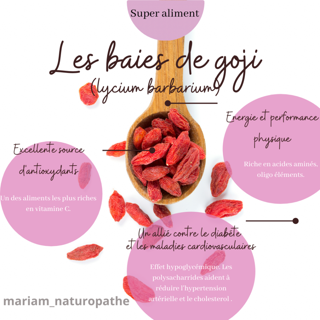 Baie de goji propriétés et bienfaits
