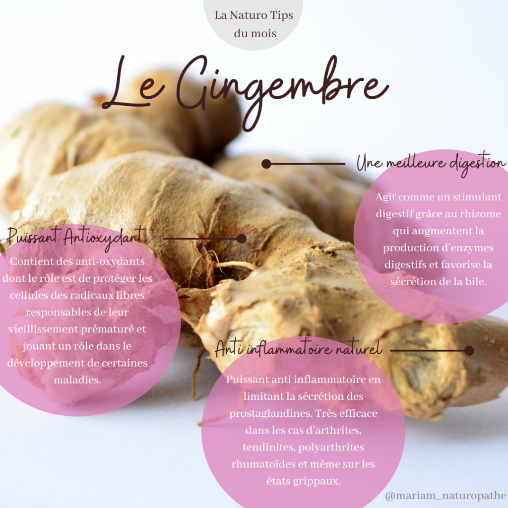 Gingembre bienfaits